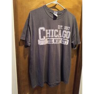 918.  Gray Tee Shirt Gildan size L Short sleeve